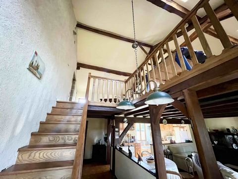 photo no. 13