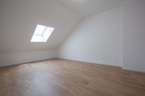 photo no. 14