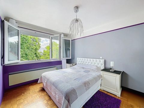 photo no. 10