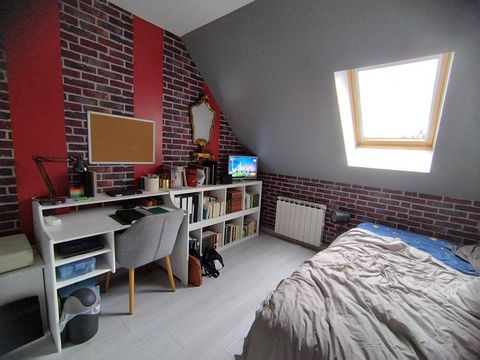 photo no. 11