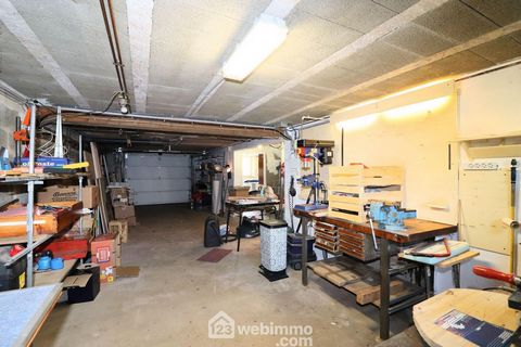photo no. 19
