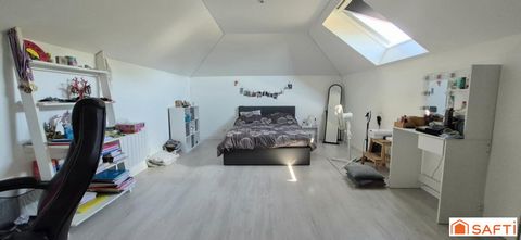 photo no. 12