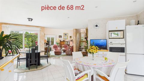 photo no. 8