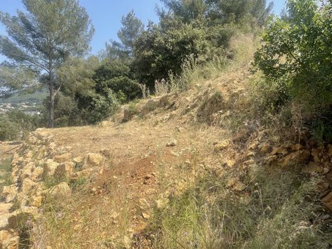 photo no. 4