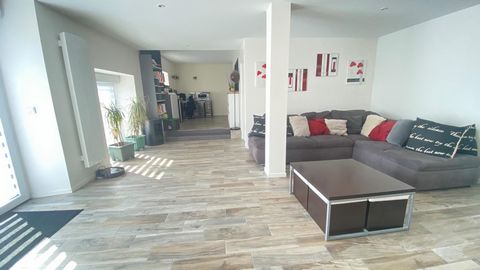 photo no. 4