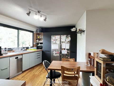 photo no. 14
