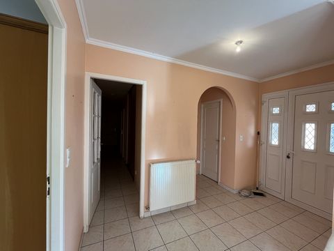 photo no. 11