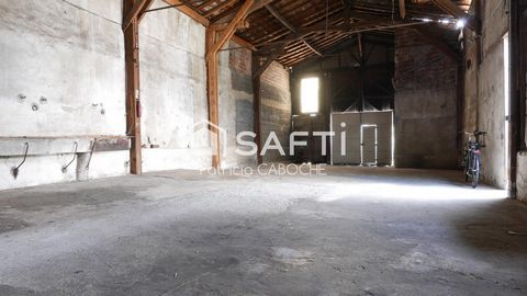photo no. 1