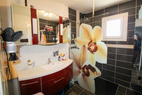 photo no. 15