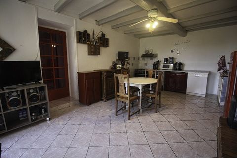 photo no. 5