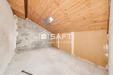 photo no. 15