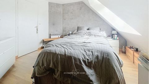 photo no. 11