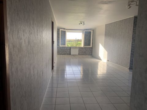 photo no. 10