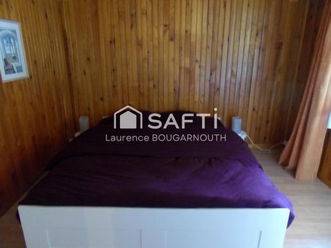 photo no. 7