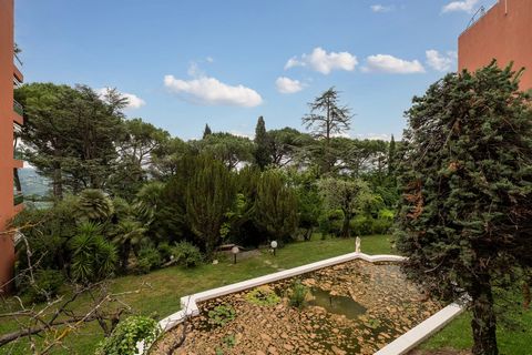 photo no. 13