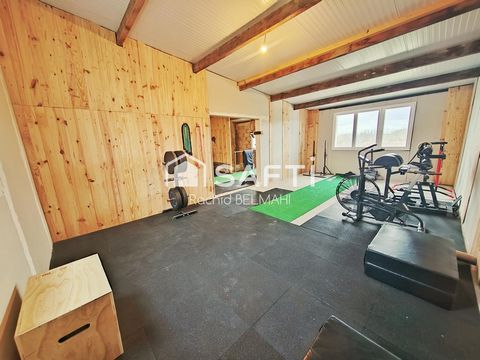 photo no. 17