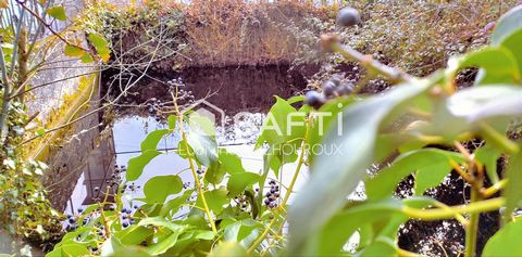 photo no. 7