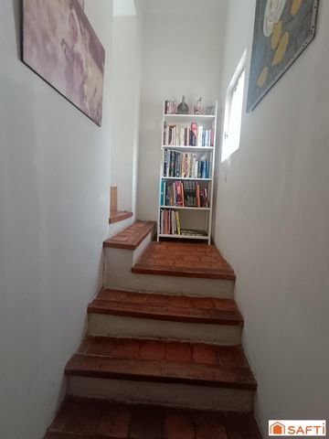 photo no. 9