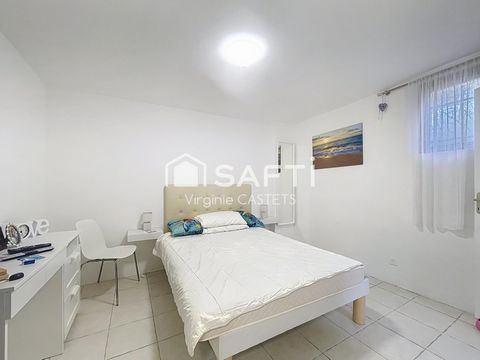 photo no. 12