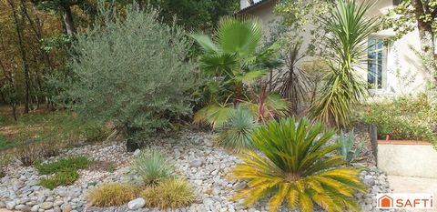 photo no. 10