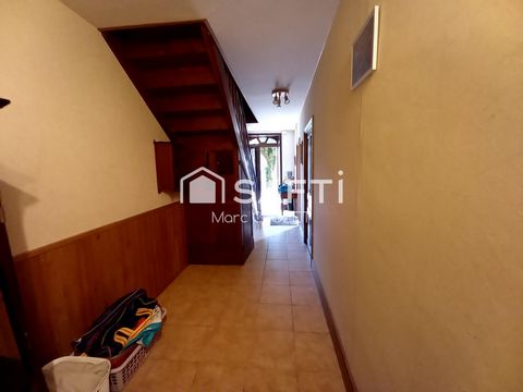 photo no. 8