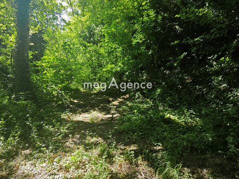photo no. 1