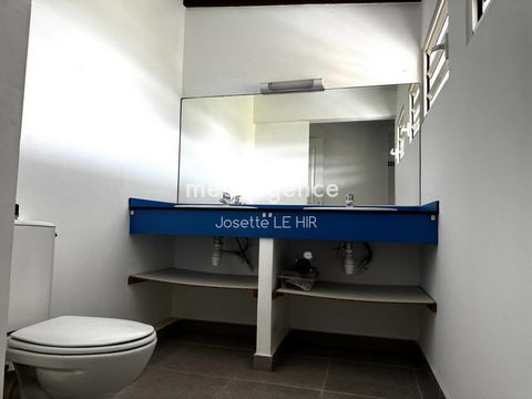 photo no. 7