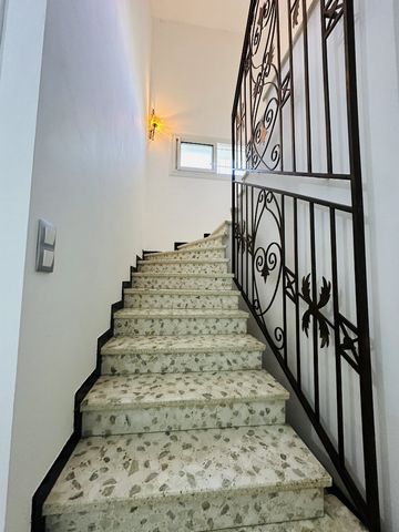 photo no. 6