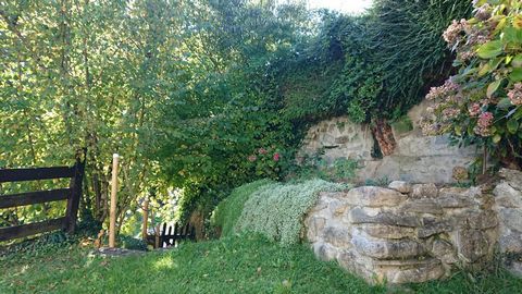 photo no. 12