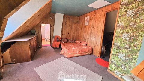 photo no. 16
