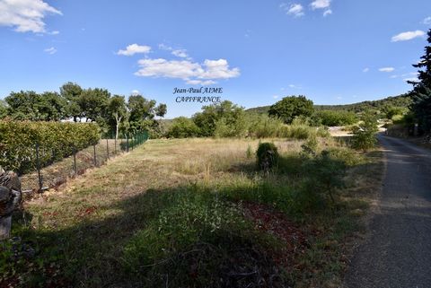 photo no. 1