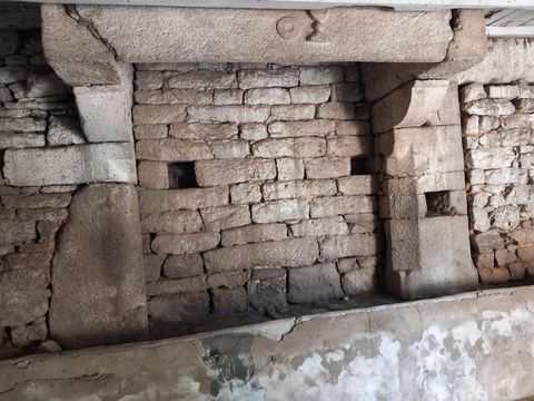 photo no. 12