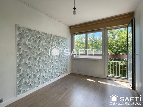 photo no. 11