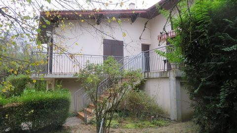 photo no. 10