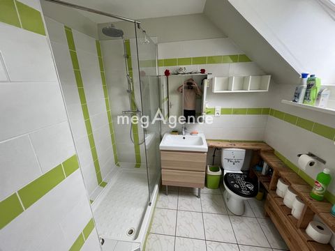photo no. 10
