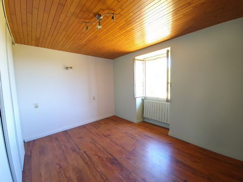 photo no. 12