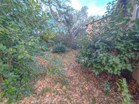 photo no. 9