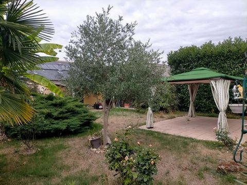 photo no. 10