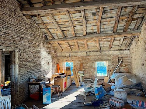 photo no. 13