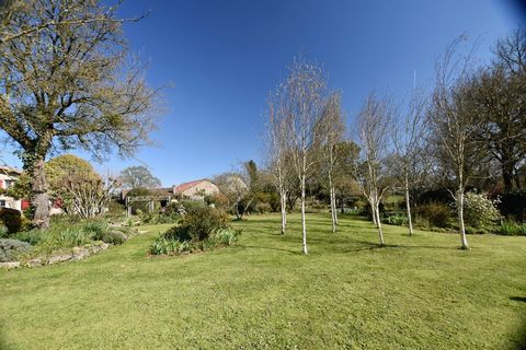 photo no. 16