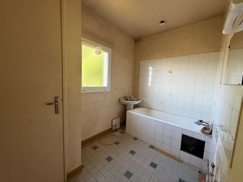 photo no. 10