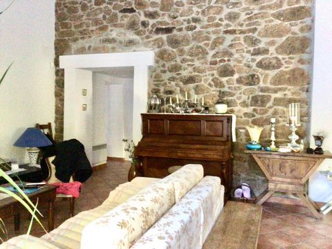 photo no. 6