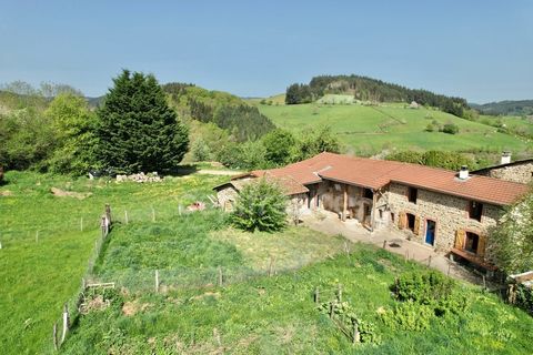 photo no. 1