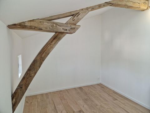 photo no. 6
