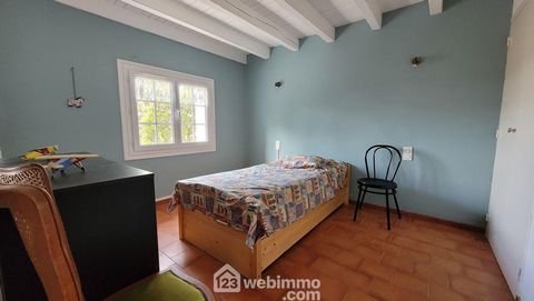 photo no. 6
