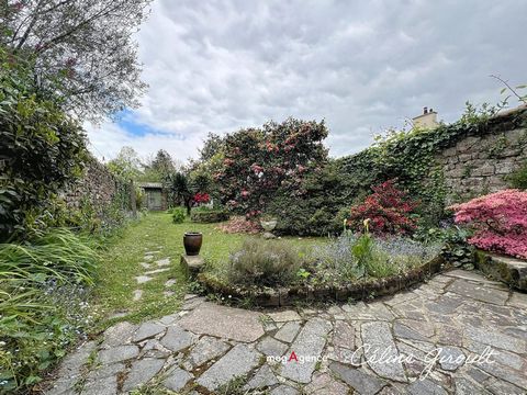 photo no. 10