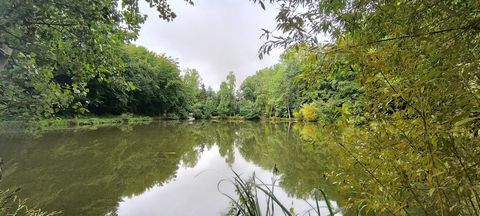 photo no. 18