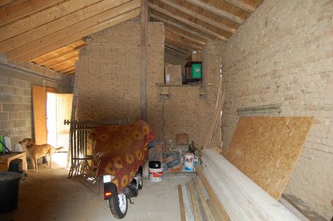 photo no. 20