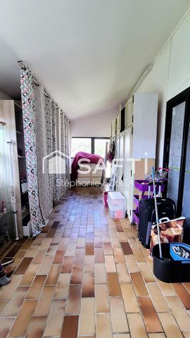 photo no. 18