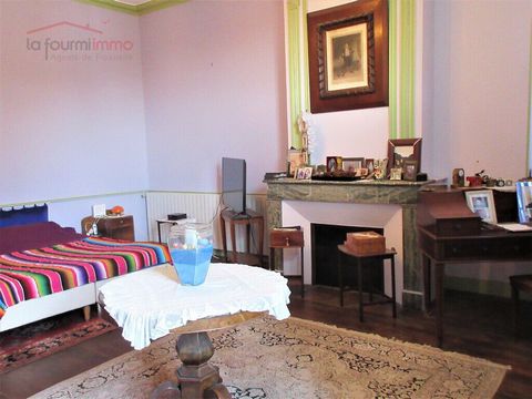 photo no. 11